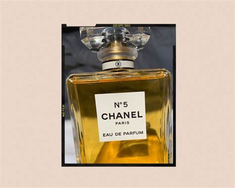 no 5 chanel actress|what does chanel no 5 smell like.